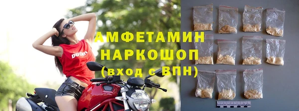 соль ск Богданович