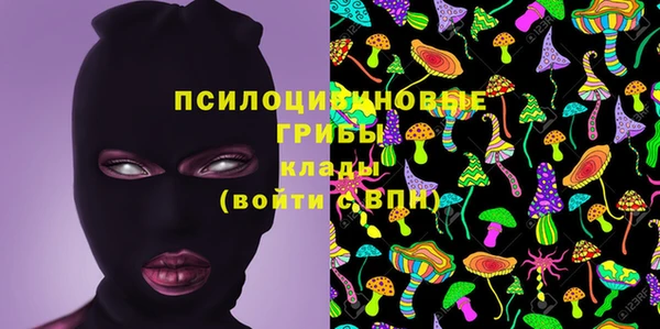 соль ск Богородск