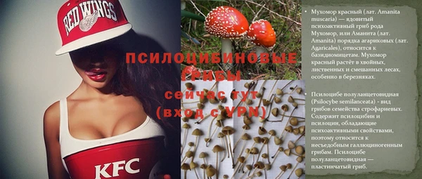 соль ск Богданович
