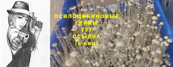 соль ск Богородск